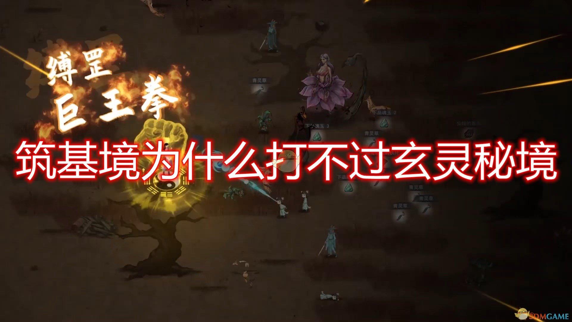 100种花的寓意和花语-共享知识星球,学习更高效!