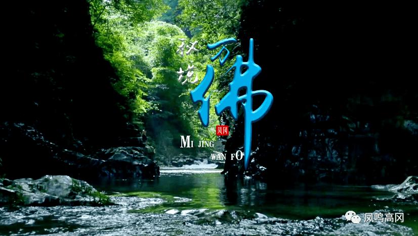 这4种鱼建议少吃，或许含有甲醛和重金属？建议转给家里人看看