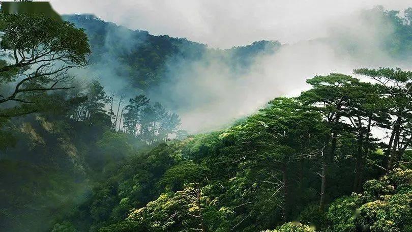 受欢迎的中国网络文学
