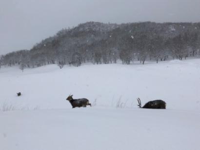 长沙玩雪倒计时开启，请注意这些安全事项