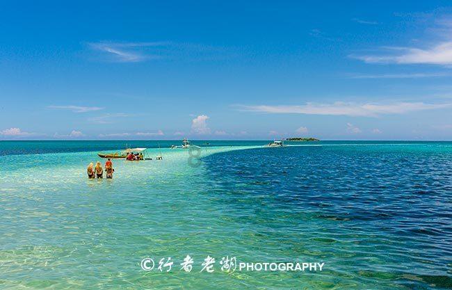 游客暴力抓住海鸥拍照,青岛栈桥景区:海鸥属保护动物,制止未果会报警