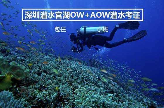 【聚焦两会】以贴近实际展现代表履力