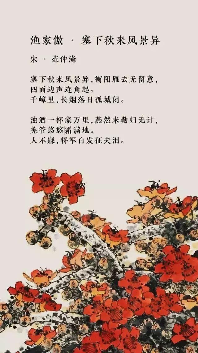 拍照还得看旗舰 2024影像旗舰就选这三台