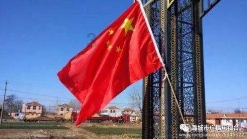 救援非洲金猫