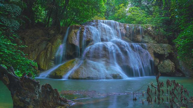 虫虫助手下载