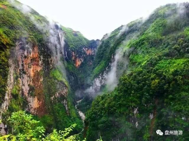 小鸟快跑
