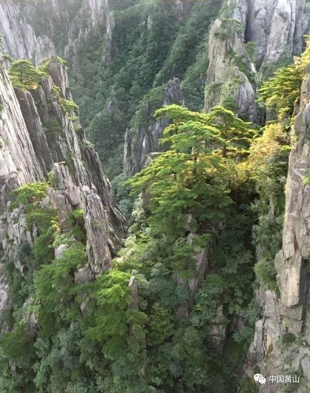 球球大作战下载最新版