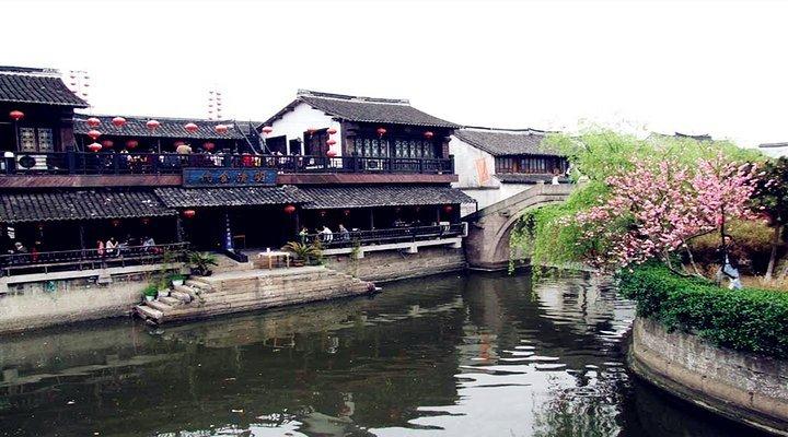 小汪汪