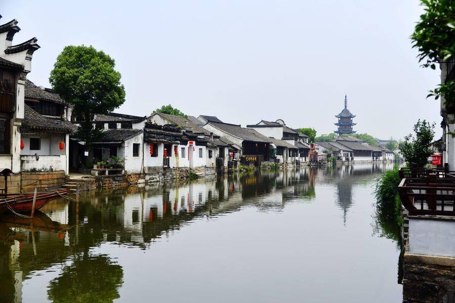 僵尸屠戮
