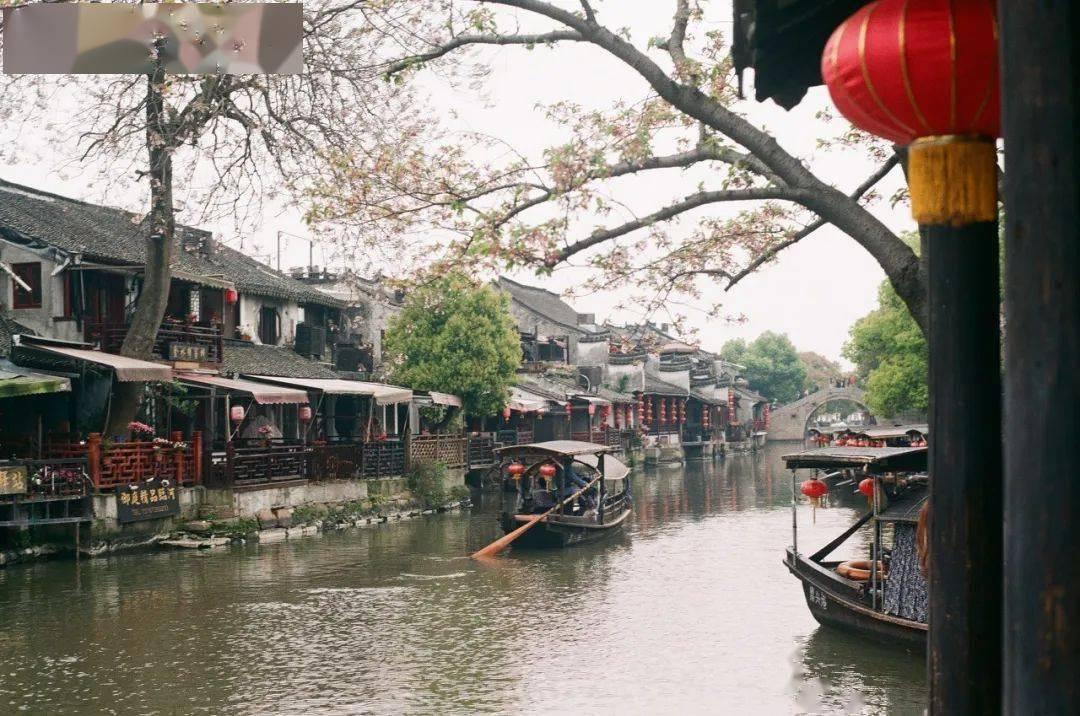 【十佳风采】杨磊:行走在电子数据海洋里的一叶书舟