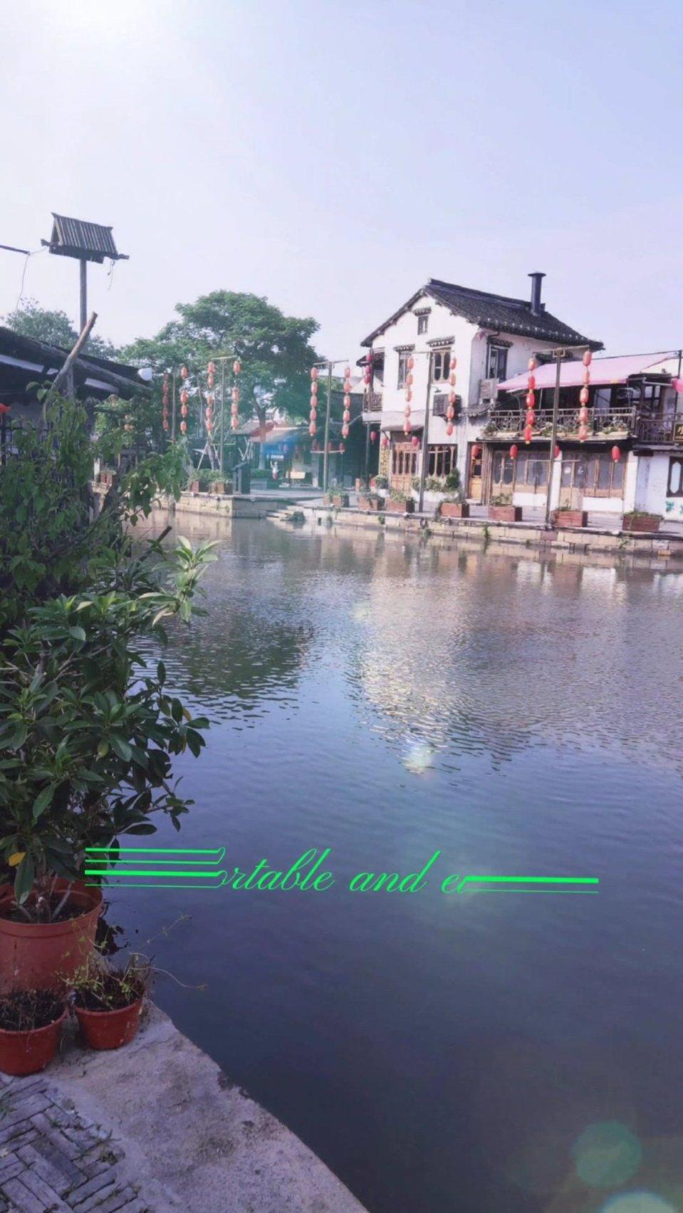植物大战僵尸13