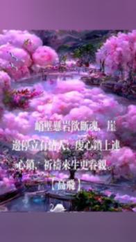 狂打小飞机